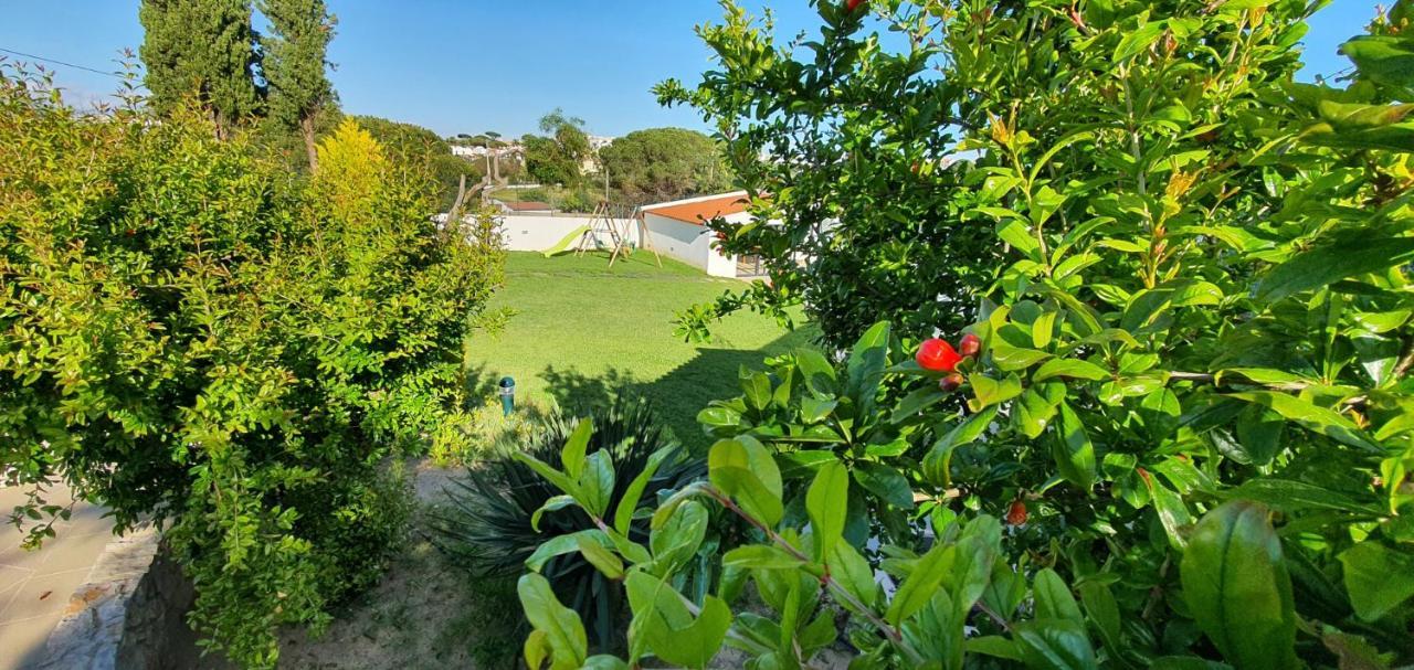 Villa Margarida By Laranjal Rentals Albufeira Buitenkant foto